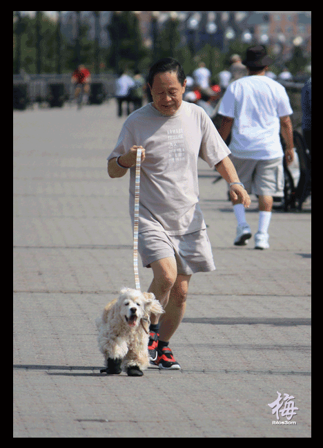 Daddy with Jessie in Liberty State Park - {click me}
