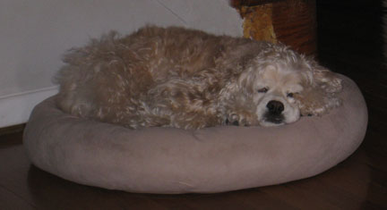 IMG_2207_Lores Jessie