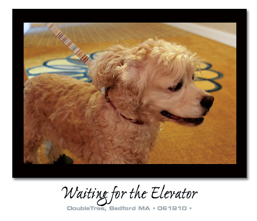 jess_waiting2 jess waiting