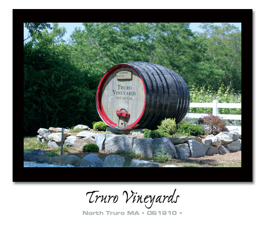 vineyard Truro Vineyard