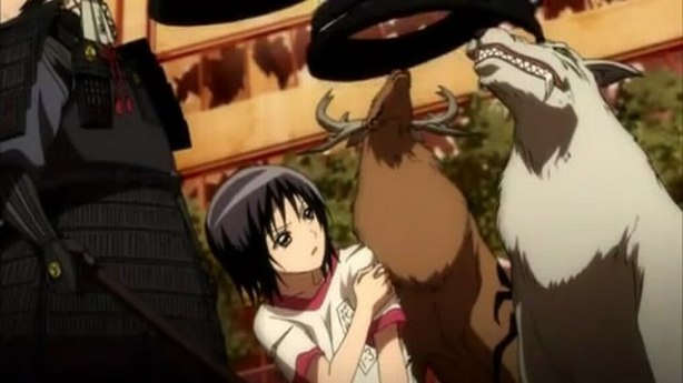 The chit brought down