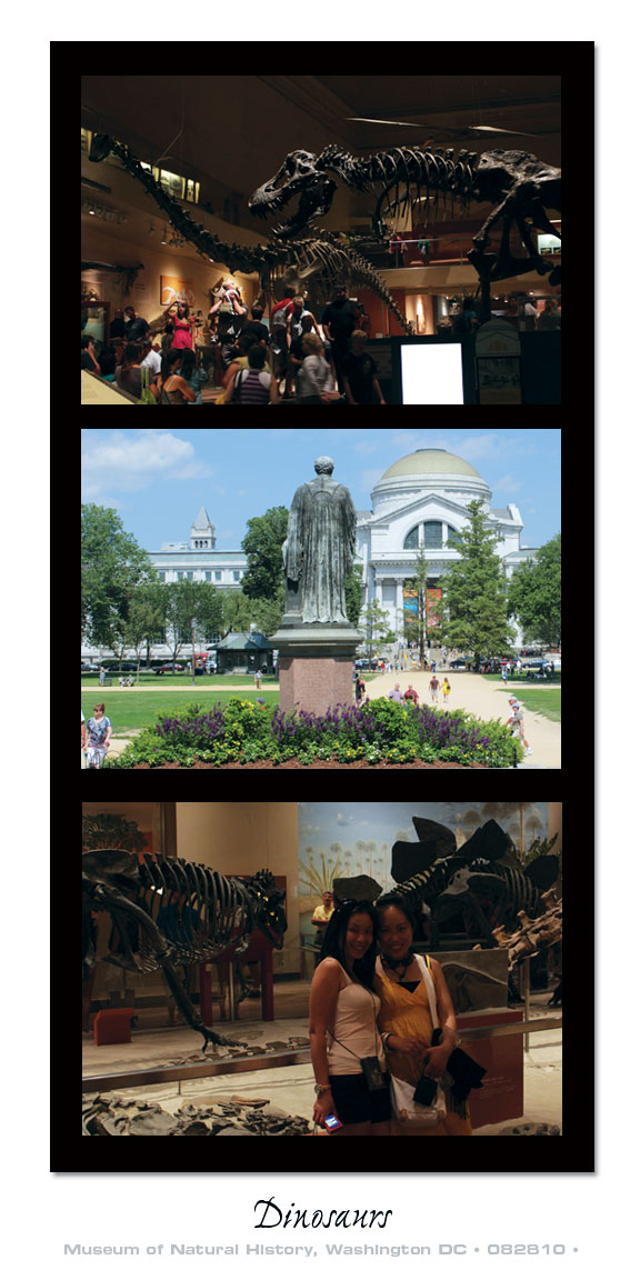 NaturalHistory Museum of Natural History