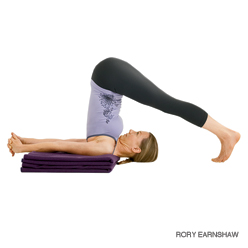 HP_216_Halasana_248 Plow pose