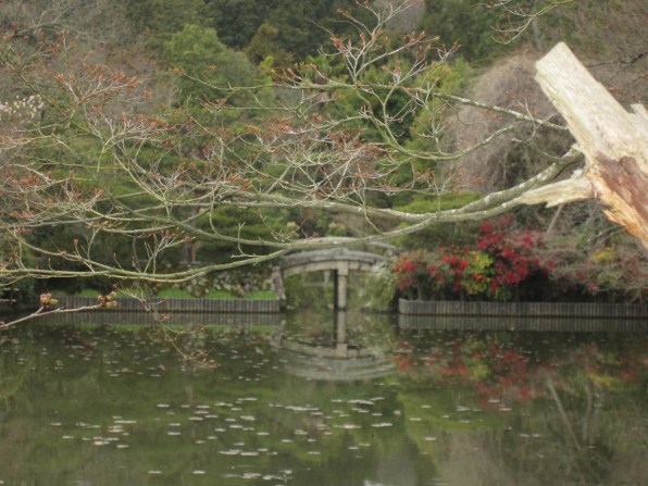 IMG_0003-lo The pond of Ryoanji